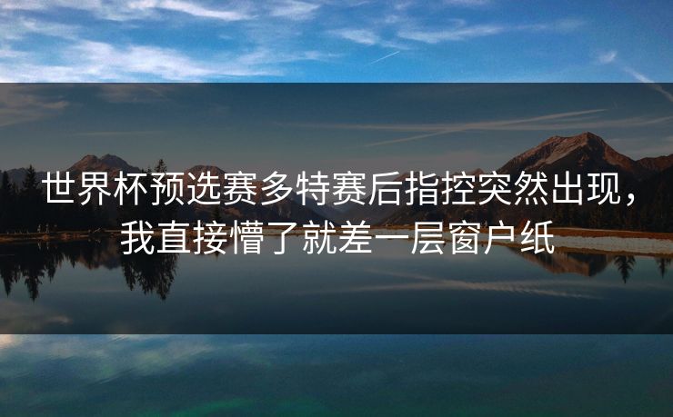 世界杯预选赛多特赛后指控突然出现，我直接懵了就差一层窗户纸